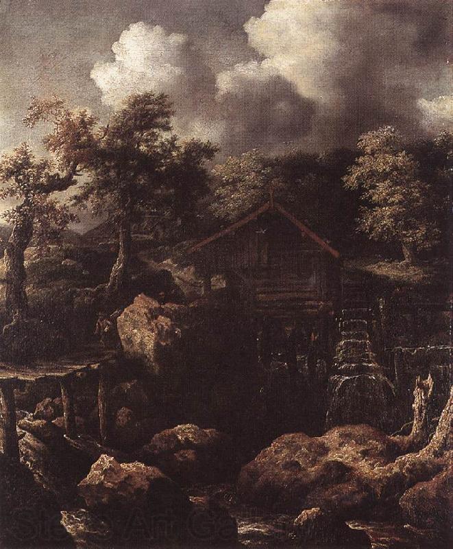 EVERDINGEN, Allaert van Forest Scene with Water-Mill  df Germany oil painting art